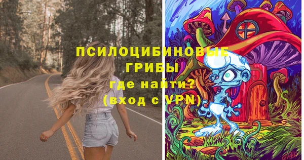 прущая мука Верхний Тагил