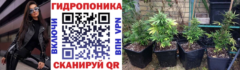 Купить закладки  Симферополь  Конопля индика 